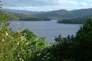 HINZE DAM 2006(012)